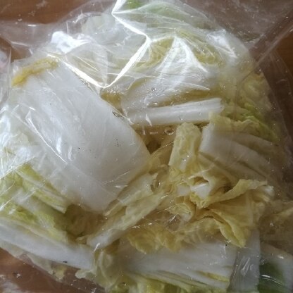 白菜も冷凍できるんですね！
傷みやすいので助かります！